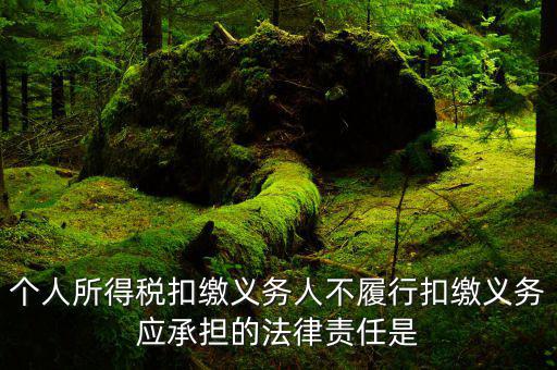 扣繳義務(wù)人如何追責，個人所得稅扣繳義務(wù)人不履行扣繳義務(wù)應(yīng)承擔的法律責任是