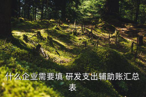研發(fā)支出 輔助賬匯總表如何填寫，什么企業(yè)需要填 研發(fā)支出輔助賬匯總表