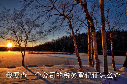 如何查詢企業(yè)涉稅信息查詢，我要查一個公司的稅務(wù)登記證怎么查