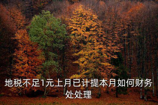 財(cái)務(wù)處如何落實(shí)數(shù)據(jù)地稅，地稅不足1元上月已計(jì)提本月如何財(cái)務(wù)處處理