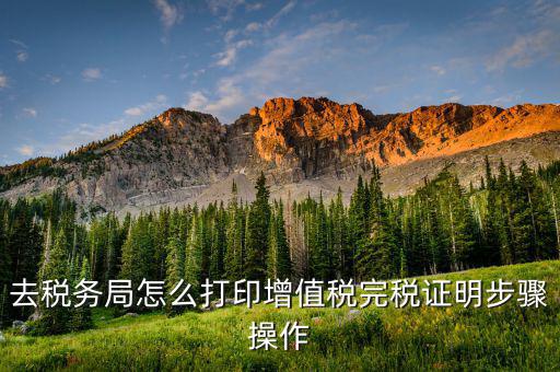 如何打印北京納稅證明，去稅務(wù)局怎么打印增值稅完稅證明步驟操作