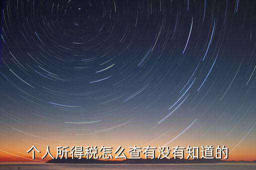 張家港個(gè)人所得稅如何查詢，個(gè)人所得稅怎么查有沒有知道的
