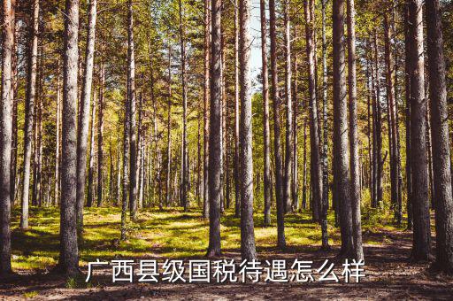 廣西縣級(jí)國(guó)稅待遇如何，廣西河池市下面各縣國(guó)家稅務(wù)局待遇如何