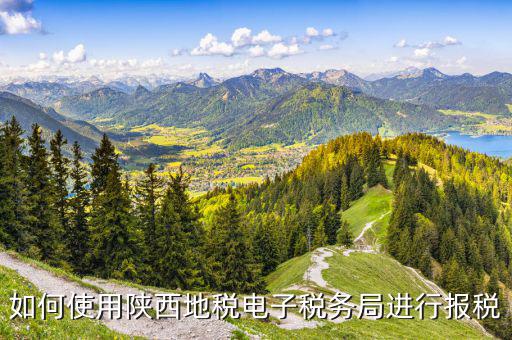 陜西地稅國稅網(wǎng)上如何申報，如何使用陜西地稅電子稅務(wù)局進行報稅