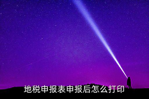 地稅如何打印申報表，地稅納稅申報表怎么打印