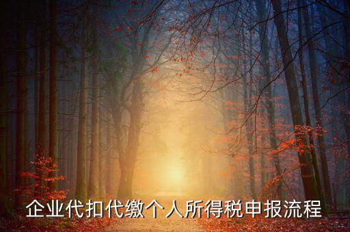 網(wǎng)上如何進(jìn)入代扣代繳申報(bào)，企業(yè)代扣代繳個(gè)人所得稅申報(bào)流程