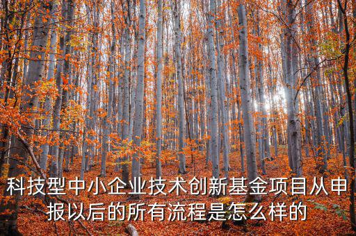 科技型優(yōu)惠如何備案，研發(fā)費(fèi)用加計(jì)扣除優(yōu)惠備案的要點(diǎn)有哪些