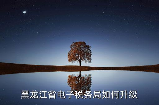 如何升級國稅系統(tǒng)，河南省電子稅務(wù)局版本過低怎么升級