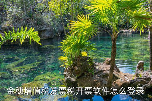 掌上辦稅如何登錄，登錄國(guó)稅網(wǎng)上辦稅服務(wù)廳的用戶(hù)名和密碼是什么