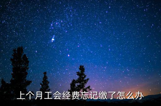 如何補(bǔ)繳上月工會經(jīng)費地稅，工會經(jīng)費上月已申報但未繳費本月可以補(bǔ)交嗎在哪里補(bǔ)交是在報稅系統(tǒng)