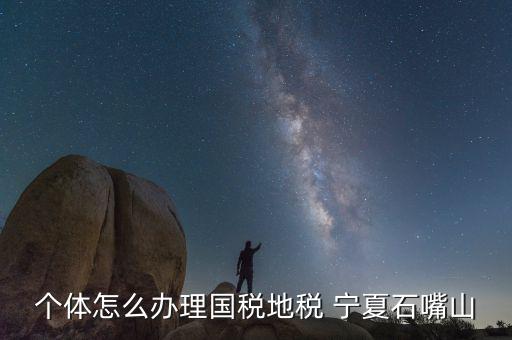 寧夏個(gè)稅如何申報(bào)，個(gè)體怎么辦理國(guó)稅地稅 寧夏石嘴山