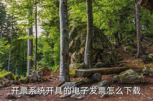 發(fā)票助手如何安裝在手機(jī)上，增值稅發(fā)票稅控開票軟件怎么安裝