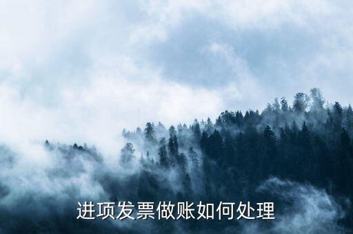 企業(yè)進項發(fā)票如何處理，工程安裝取得的進項票如何處理
