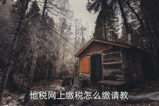 地稅如何交稅嗎，地稅網(wǎng)上繳稅怎么繳請教