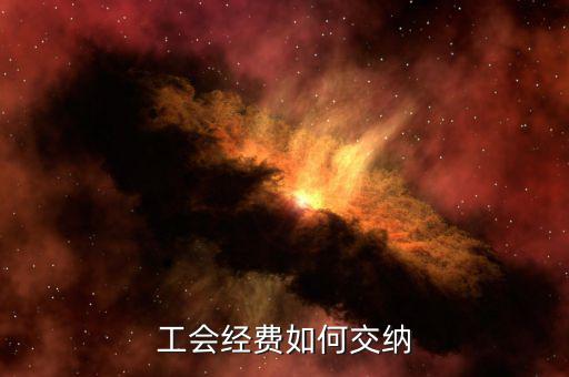公司工會如何繳納，企業(yè)工會會費怎么交的