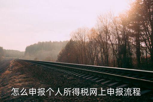 泉州個(gè)人所得稅如何網(wǎng)上申報(bào)，個(gè)人所得稅網(wǎng)上申報(bào)步驟
