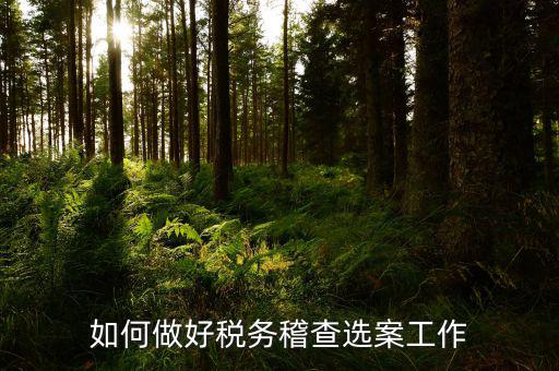 如何做到依法治稅總結(jié)，如何做好稅務(wù)稽查選案工作