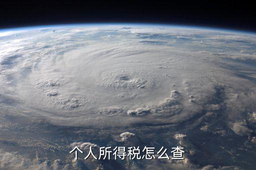 山東如何查詢個(gè)人所得稅查詢系統(tǒng)，個(gè)人所得稅怎么查詢