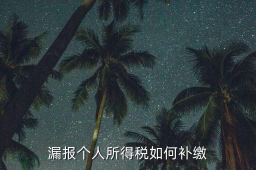 安徽省個(gè)稅如何補(bǔ)充申報(bào)，漏報(bào)個(gè)人所得稅如何補(bǔ)繳