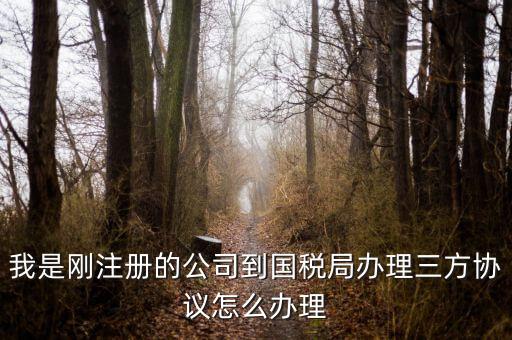 如何激活稅務(wù)三方協(xié)議，稅務(wù)三方協(xié)議怎樣激活