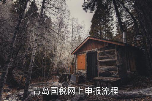青島國地稅如何申報，國稅怎么申報
