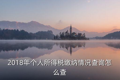 2018年個(gè)人所得稅繳納情況查詢怎么查