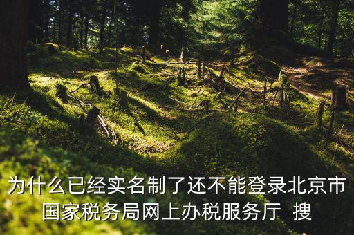 為什么已經(jīng)實名制了還不能登錄北京市國家稅務局網(wǎng)上辦稅服務廳  搜