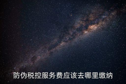 防偽稅控服務費應該去哪里繳納
