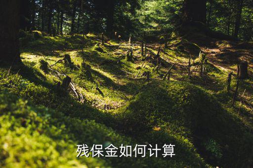 2016年杭州殘疾人保障金如何計(jì)算方法，殘疾人保障金計(jì)算方式
