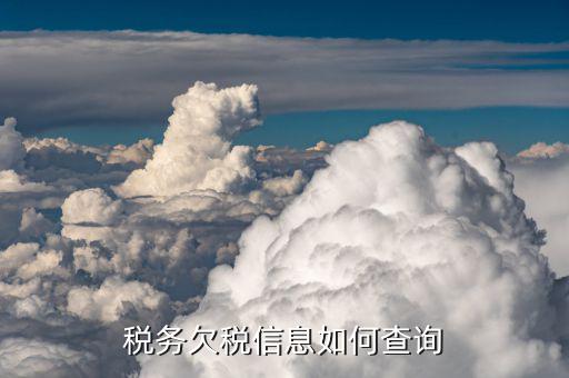 內(nèi)蒙古如何查個(gè)人欠稅，稅務(wù)欠稅信息如何查詢