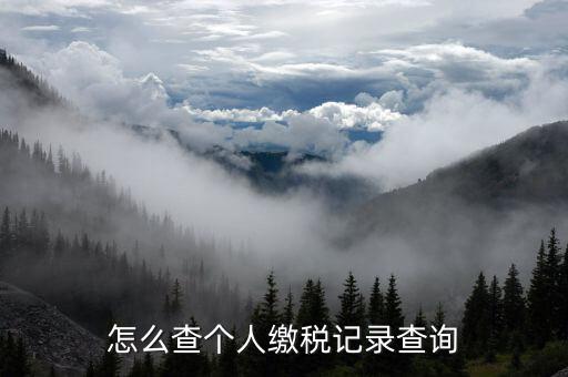 陜西省如何查詢個稅繳納記錄，怎樣查看個稅和附加稅是否已交