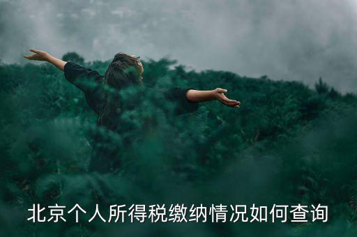 北京地稅個人如何查詢，如何查詢個人所得稅繳稅記錄