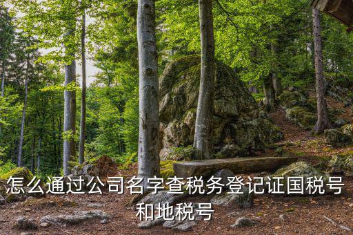 如何查詢企業(yè)國稅，怎么通過公司名字查稅務(wù)登記證國稅號和地稅號