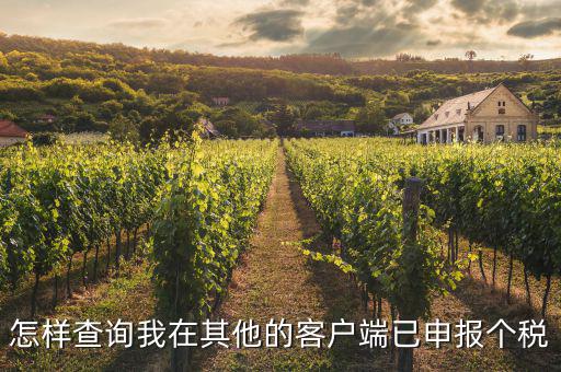 如何查詢之前申報扣繳過的個稅，怎樣查詢我在其他的客戶端已申報個稅