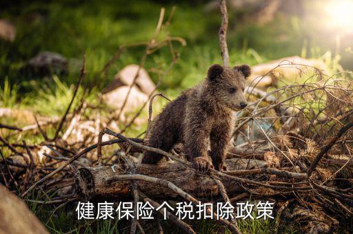 個(gè)人健康保費(fèi)如何在個(gè)稅前扣除，健康保險(xiǎn)怎么抵扣個(gè)稅