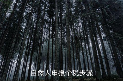 自然人稅收如何申報(bào)表，自然人申報(bào)個(gè)稅步驟