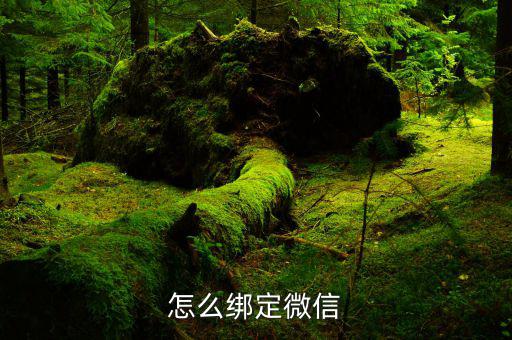 微信如何綁定深圳國稅，怎么綁定微信