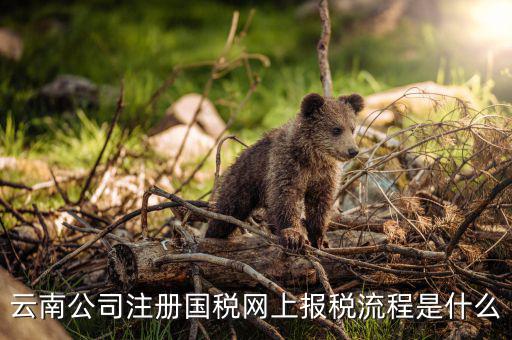 如何進(jìn)入云南網(wǎng)上稅務(wù)申報(bào)系統(tǒng)，如何進(jìn)行網(wǎng)上稅務(wù)申報(bào)