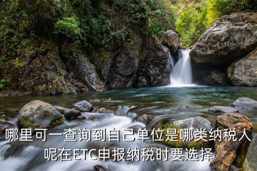 如何查納稅人性質(zhì)，哪里可一查詢到自己單位是哪類納稅人呢在ETC申報納稅時要選擇