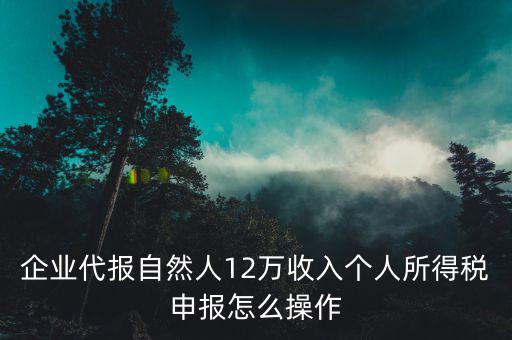 12萬個(gè)稅如何自行申報(bào)，年收入超過12萬怎么自行申報(bào)個(gè)稅