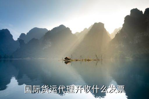 代理貨運開票選項如何選擇，國際貨運代理開收什么發(fā)票