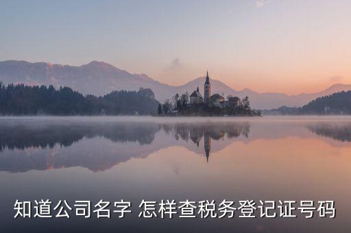 公司國(guó)稅編號(hào)如何查詢系統(tǒng)，公司的稅務(wù)登記證號(hào)怎么查詢