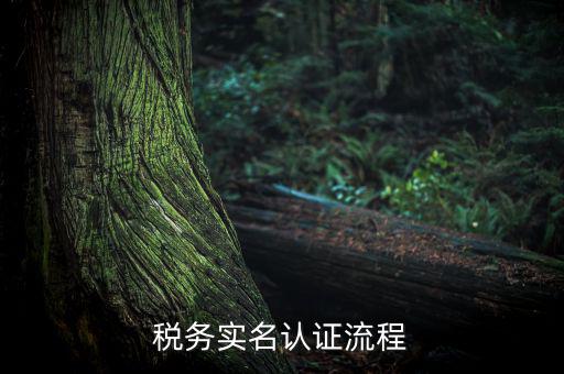 四川省稅務(wù)局如何實名采集信息，四川網(wǎng)上稅務(wù)局12366掌廳怎么實名采集掃哪個二維碼