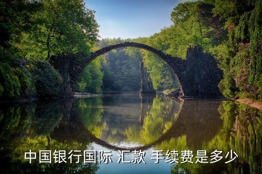 從柜臺(tái)匯款手續(xù)費(fèi)怎么算,中國大陸新加坡元人民幣匯款