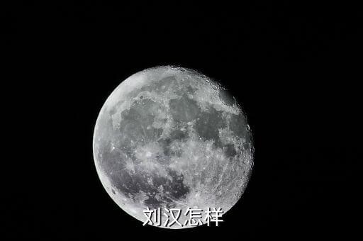 劉漢資產(chǎn)怎么處理,劉漢，四川漢龍集團原董事長