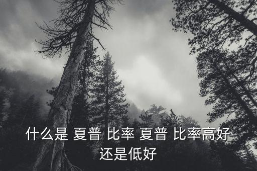 夏普比率怎么算,夏普比率計(jì)算公式:<理財(cái)在線(xiàn)｜羅清全】