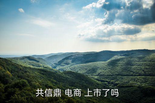 電商怎么上市,南極電商在納斯達(dá)克上市騰訊、慧聰網(wǎng)香港上市