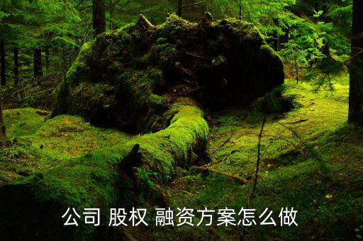 企業(yè)的股權融資需求怎么寫,股權融資方案需要關注哪些重點?