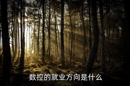 法因數(shù)控怎么樣,數(shù)控設(shè)備管理高級技術(shù)型、應(yīng)用型專業(yè)人才