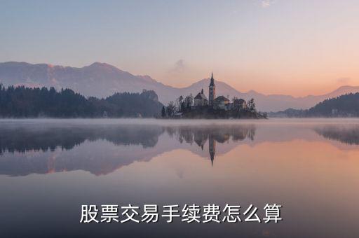 買股票費用怎么算,股票交易費用包括手續(xù)費、過戶費和傭金